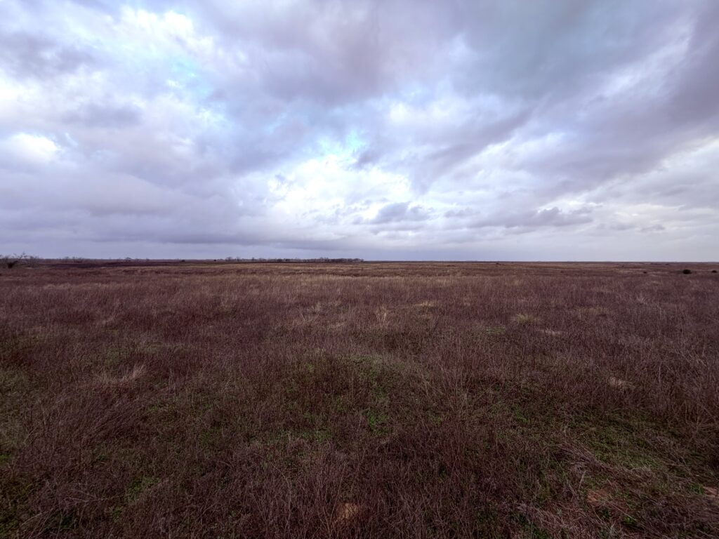 Attwater Prairie Chicken Refuge