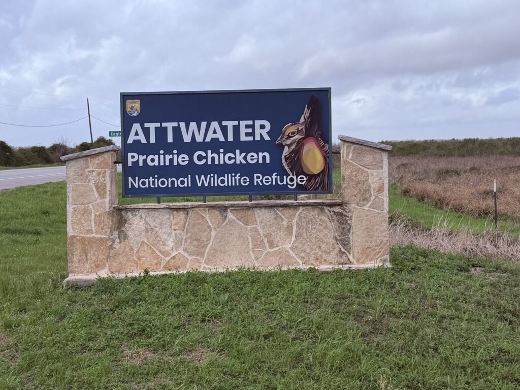 Attwater Prairie Chicken Refuge